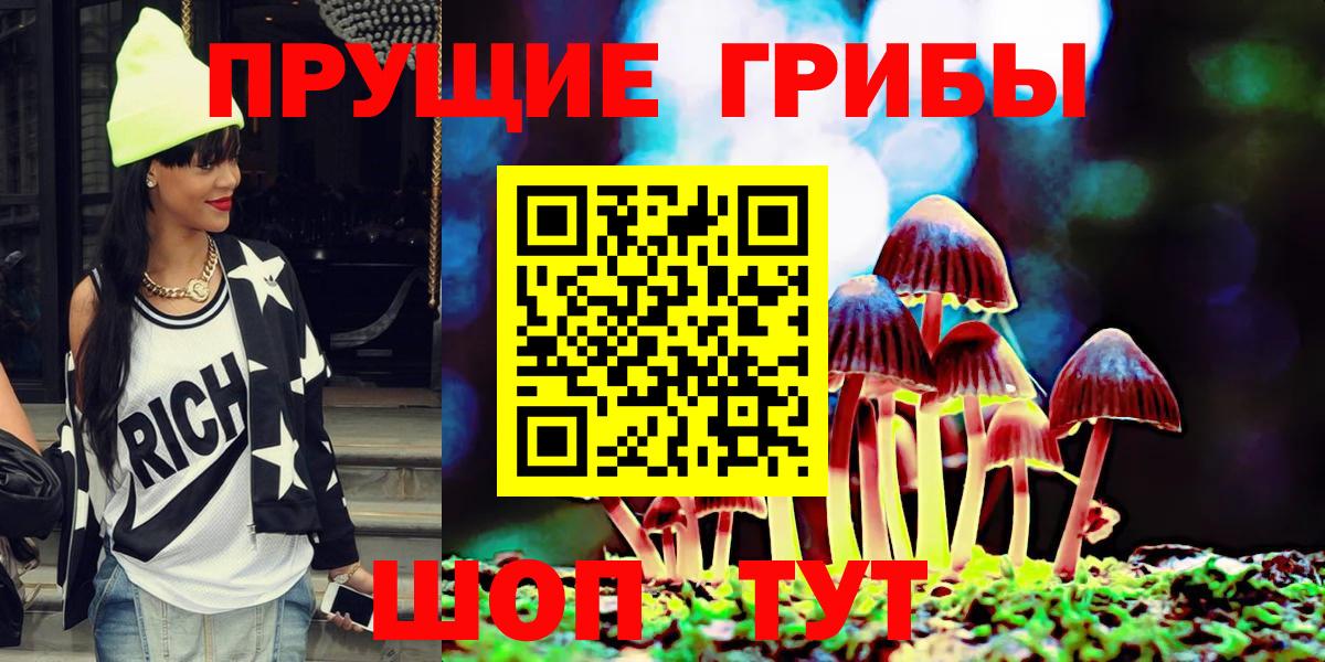Новозыбков  Псилоцибиновые грибы MAGIC MUSHROOMS  Вход с VPN 