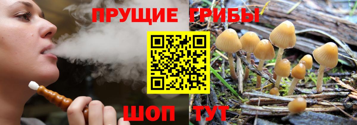 Псилоцибиновые грибы мухоморы Новозыбков